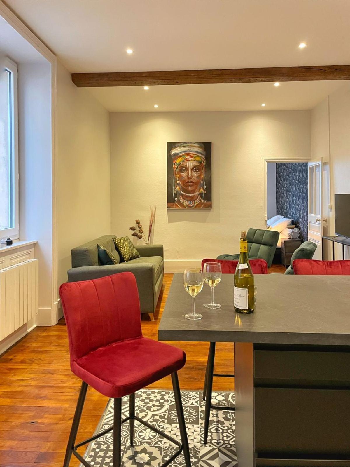Center Macon Charmant Appartement Avec Vue Sur La Saone Esterno foto
